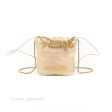 Chanel 22 Mini Bag Iridescent Pearl Calfskin Hot on Sale