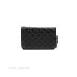 Chanel  Quilted Tassel Wallet On Chain WOC Black Aged Calfskin Online Hot Sale