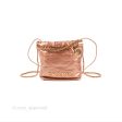 Chanel 22 Mini Bag Metallic Rose Gold Crumpled Calfskin Discount