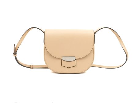 Celine Small Trotteur Crossbody Bag Grained Calfskin Powder Sale