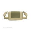 Celine Frame Bag Light Green Online now