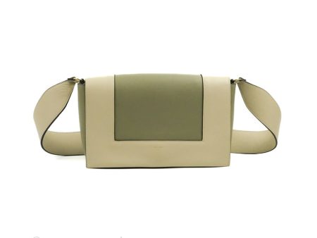 Celine Frame Bag Light Green Online now