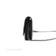 Chanel  Quilted Tassel Wallet On Chain WOC Black Aged Calfskin Online Hot Sale