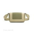 Celine Frame Bag Light Green Online now