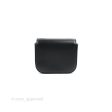 Celine Mini Triomphe Shiny Calfskin Black Online now