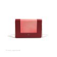 Celine Frame Evening Clutch On Chain Red Pink Smooth Lambskin Silver Hardware For Sale