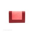 Celine Frame Evening Clutch On Chain Red Pink Smooth Lambskin Silver Hardware For Sale