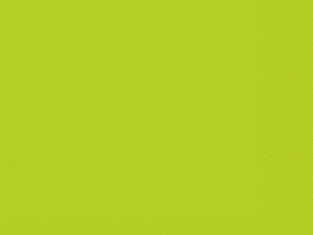 Neon Green Solid Beverage Napkins, 20ct Online Hot Sale